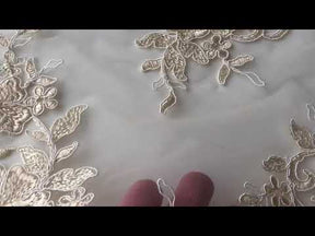 Dentelle Cordon Champagne - Cecilia