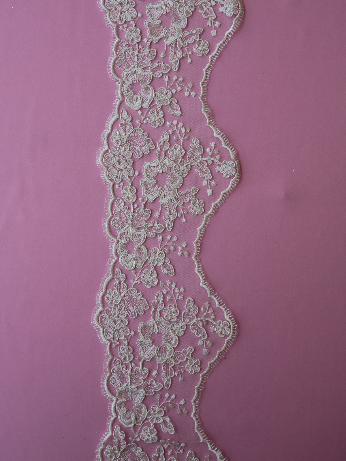 Bordure en dentelle ivoire cordée - Bluebell