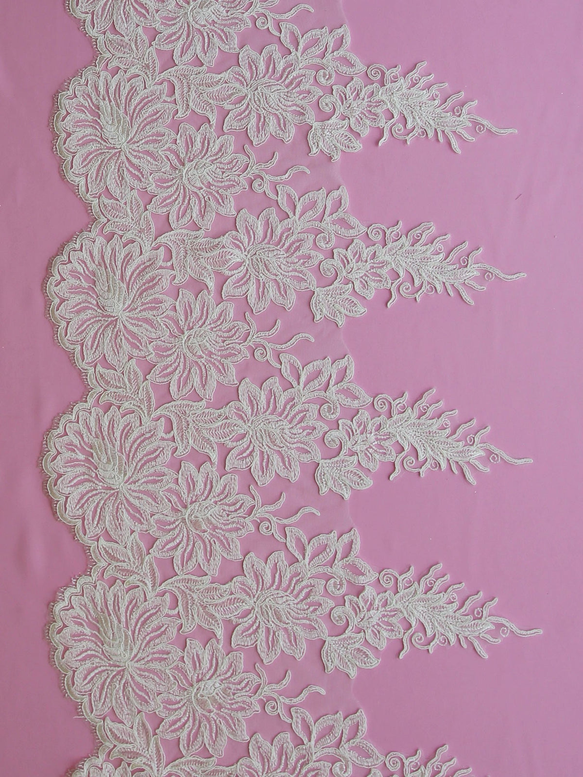 Bordure en dentelle ivoire cordée - Connecticut
