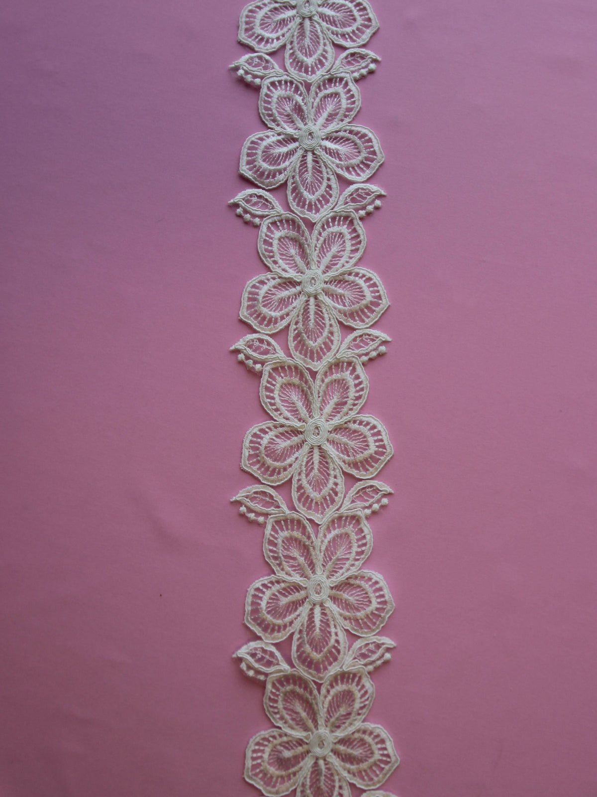 Bordure en dentelle ivoire cordée - Daffodil