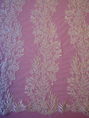 Dentelle Brodée Ivoire - Asie