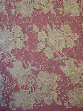 Dentelle Broderie Ivoire - Bronwyn