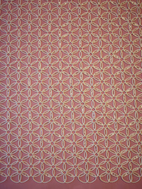 Dentelle Brodée Ivoire - Côme