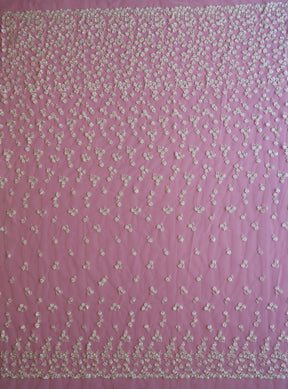 Dentelle Brodée Ivoire - Rowan