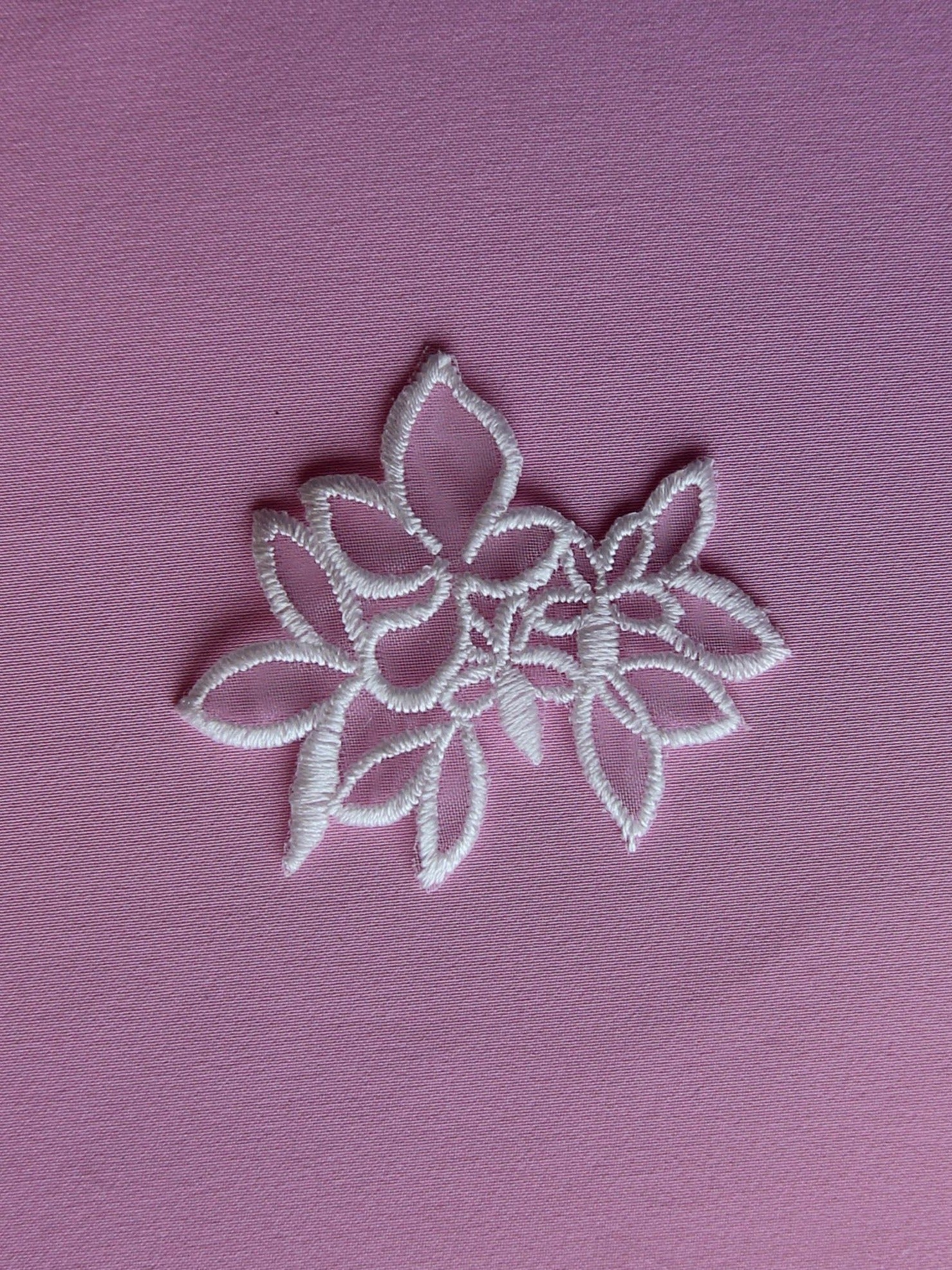 Fleur brodée ivoire (sac de 10)- Limonium