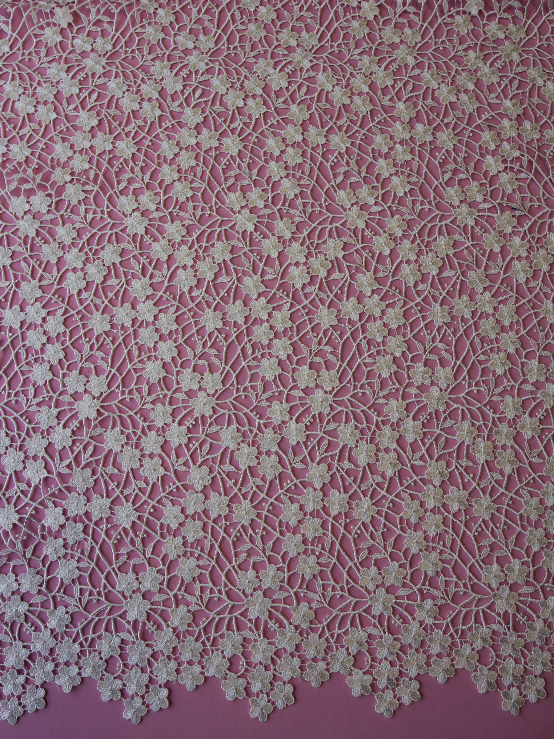 Dentelle Guipure Ivoire - Ebba