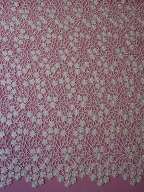 Dentelle Guipure Ivoire - Ebba