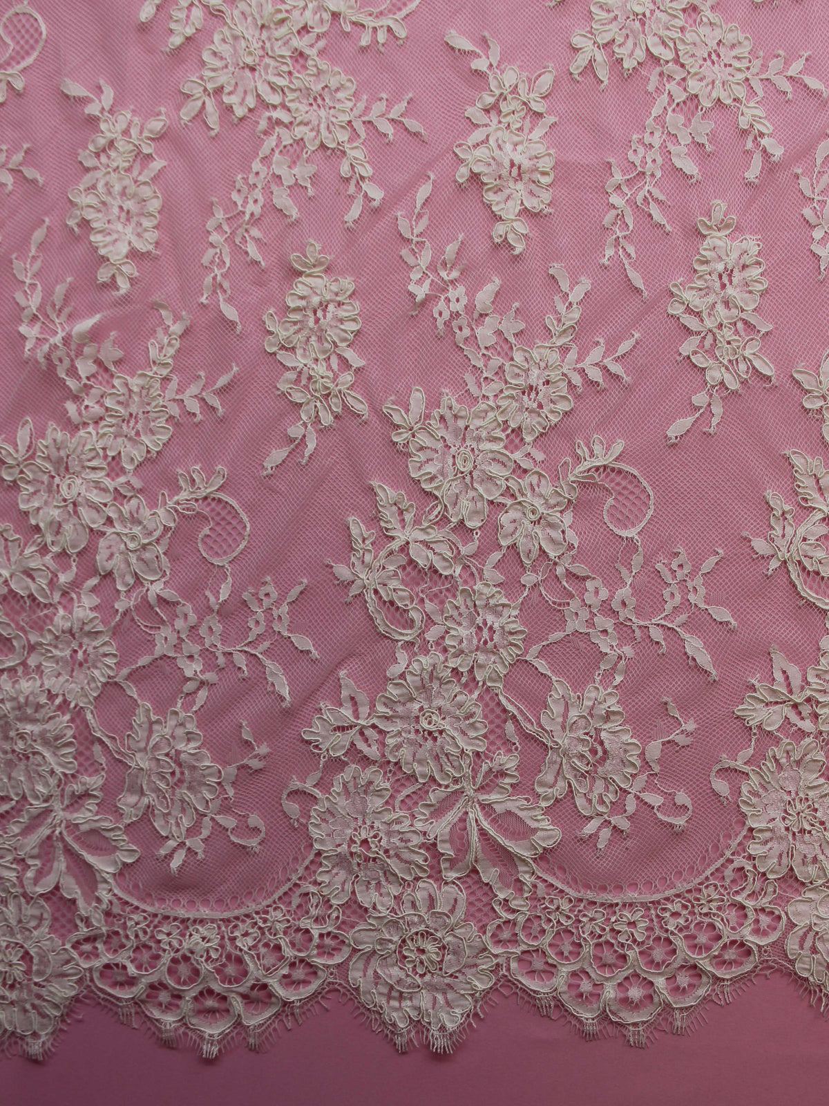 Dentelle Cordonnée Ivoire - Brogan
