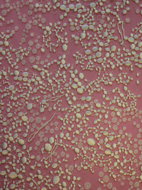 Dentelle Broderie Ivoire - Sloane