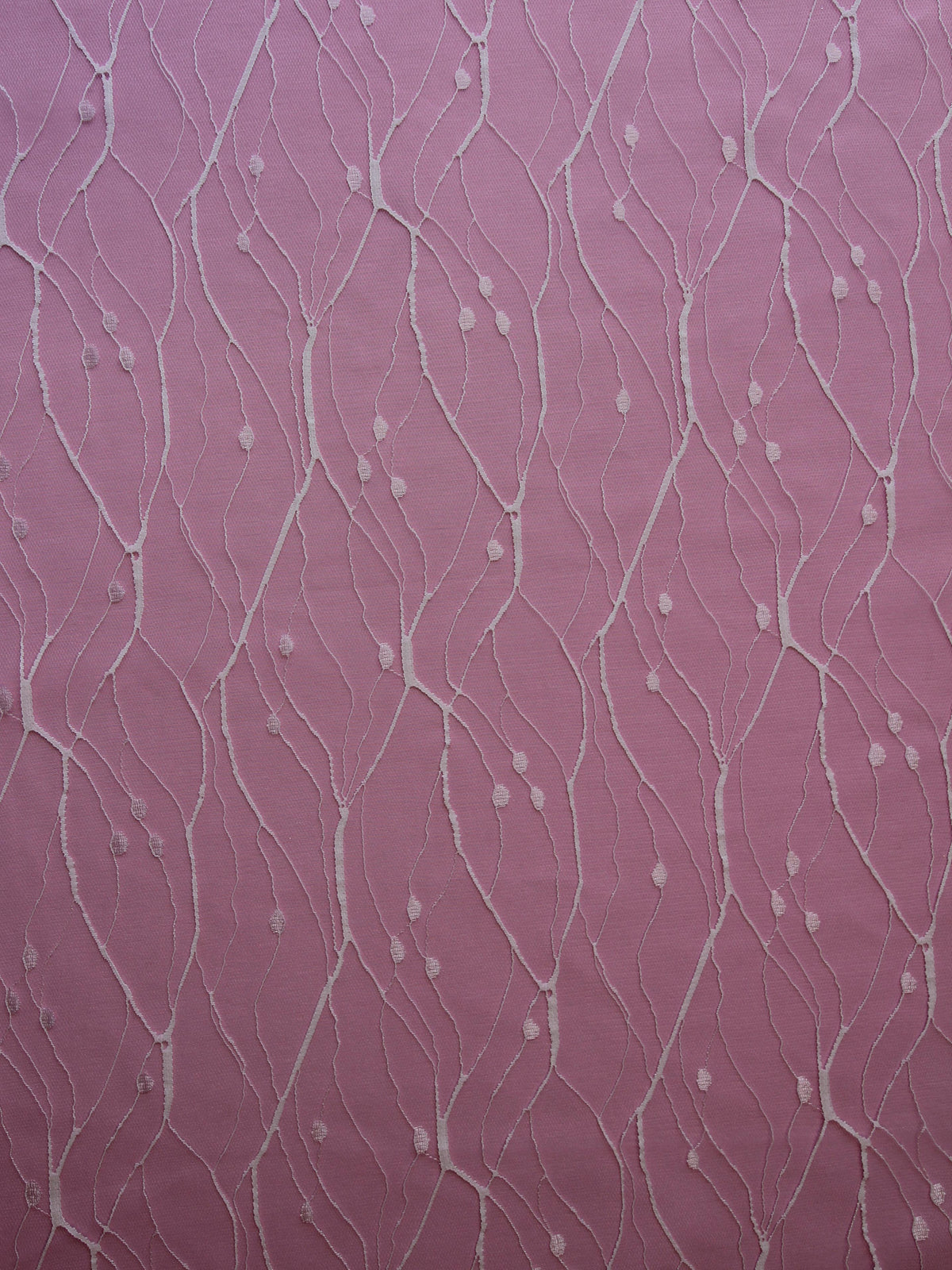 Dentelle Rachel Ivoire - Stream