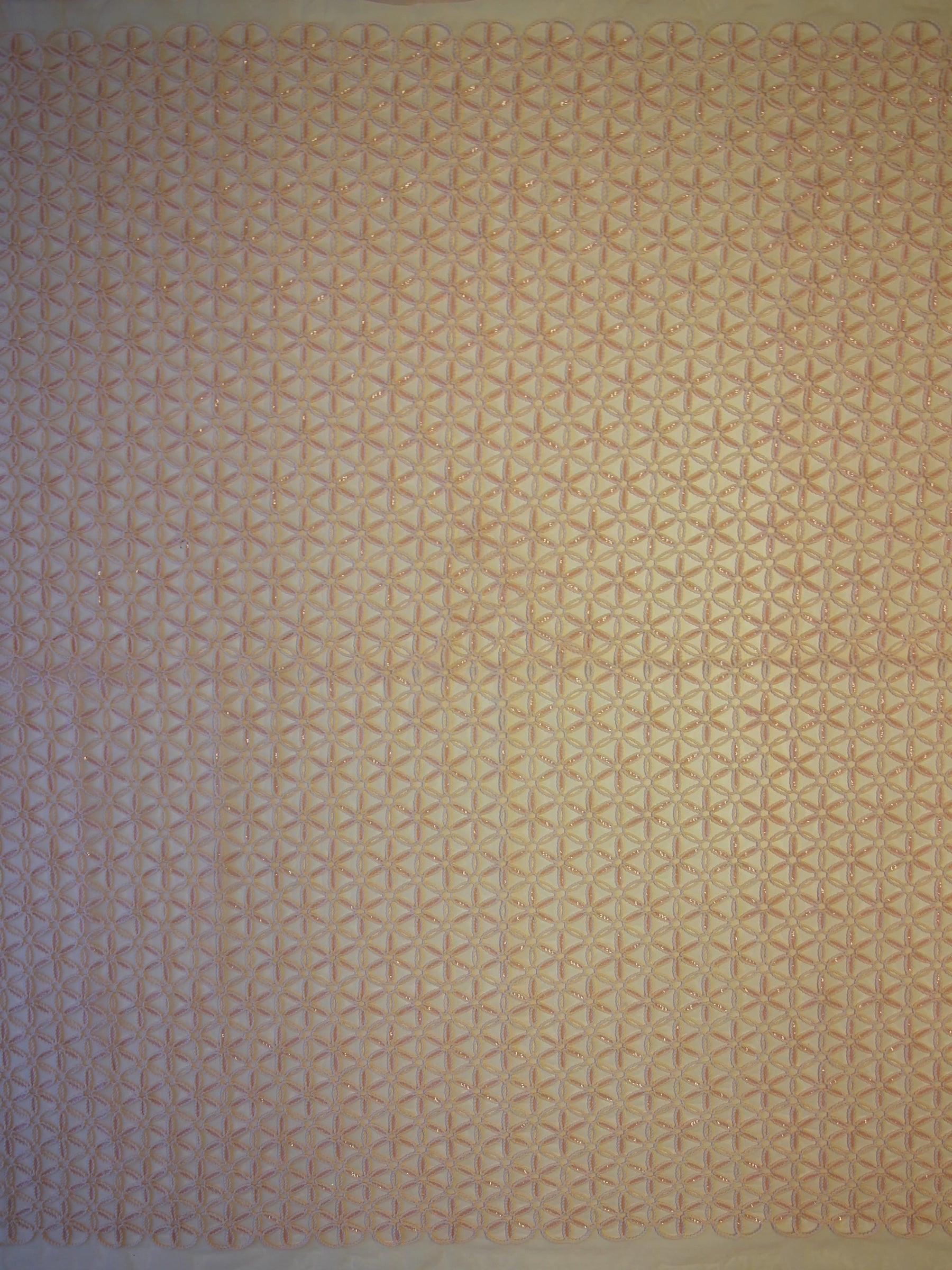 Dentelle Brodée Rose - Côme