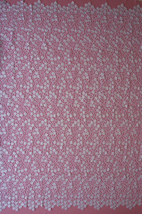 Dentelle Guipure Blanche - Ebba