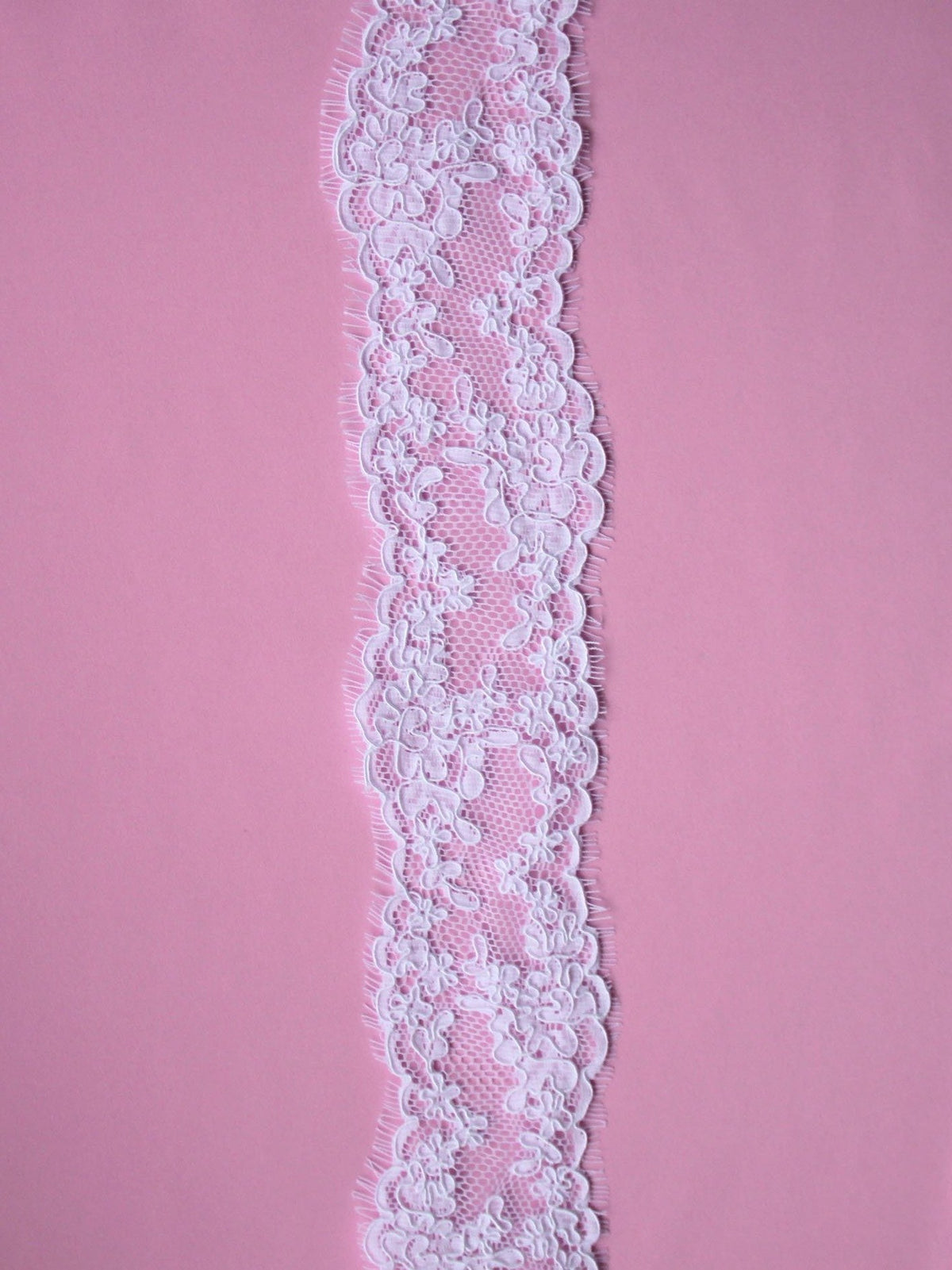 Bordure en dentelle blanche cordée - Hope
